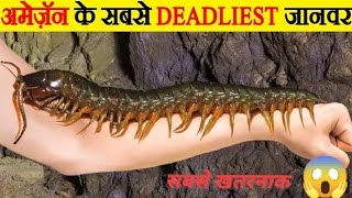 अमेज़न के सबसे खतरनाक जानवर /Amazon Deadliest animal #facts #animals #amazon #deadly #snake #lion