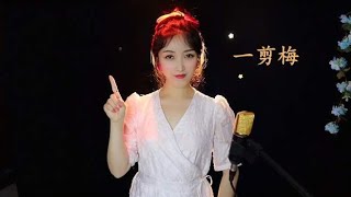 女声版柔情演唱《一剪梅》，雪花飘飘，经典老歌，歌词太美了！