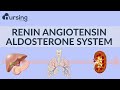 Renin Angiotensin Aldosterone System (Nursing School Lessons)