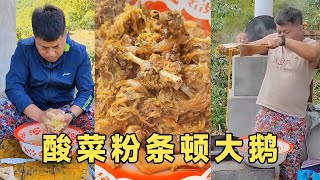 东北硬菜，酸菜粉条炖大鹅。做的最好的一次，嘎嘎香！【东北村花】