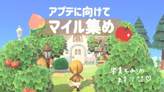 【あつ森】アプデに向けてマイル集めしながらおしゃべり生配信！【雑談】