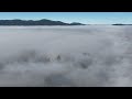 legacy forests in the fog flying over wa s imperiled temperate rainforest