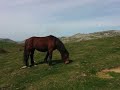 20170416 aralar guardetxe eurlatz ipuzmeaka desamendi txiki desamendi guardetxe