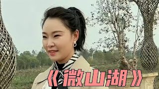 一首《微山湖》送给大家