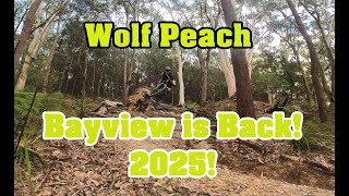 Wolf Peach @ Bayview MTB 2025 #insta360go3