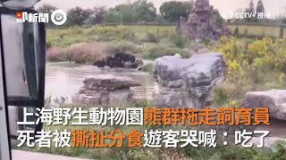 上海野生動物園飼育員遭熊群拖走！被撕扯分食「吃了」｜中國大陸｜意外｜猛獸｜2020