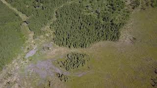 Rare coastal wetlands protected on the north shore of Lake Superior