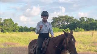 3 Tips for Sitting Trot