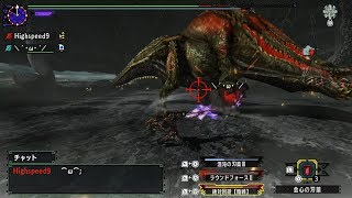 【MHXX/MHGU】暴飲暴食ご用心 片手剣ペア 3'22\