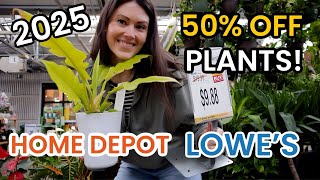 2025 HOME DEPOT PLANT SALE - 50% OFF INDOOR PLANTS! Big Box Plant Shopping - Lowe's \u0026 Home Depot