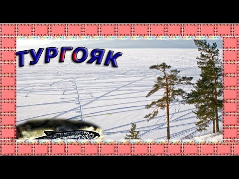 Как ловят рипуса на тургояке Как ловят рипуса на тургояке