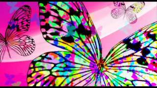 「 Multicolor Butterfly 」