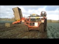 Leekharvester in wooden boxes, arracheuse poireau, preirooier boxenvuller