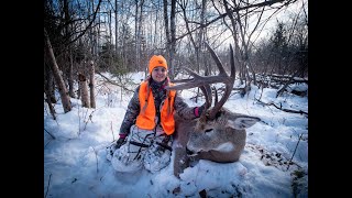 Saskatchewan Whitetail - Big Spruce Outfitters - Crazy looking old buck!