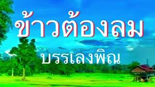 บรรเลงพิณ ลายข้าวต้องลม