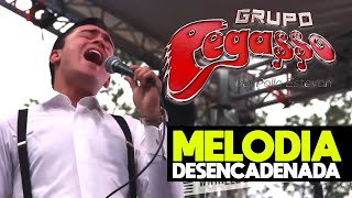 2017 - Grupo Pegasso - Melodia Desencadenada - Harold Rangel - En Vivo -