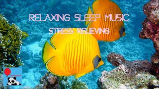 Relaxing Sleep Music , Under Water Relaxation, Stress Relieving, Soothing Sounds, Calming Visuals