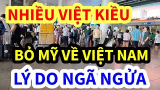 NHIỀU VIỆT KIỀU BỎ MỸ VỀ VIỆT NAM, LÝ DO THẾ NÀY ĐÂY, VIETLIFE