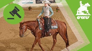 Ranch Riding | Richter erklären wie es geht | EWU German Open 2017