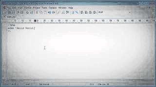 Beginner PHP Tutorial 9 echo
