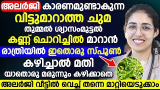 അലർജി കാരണമുണ്ടാകുന്ന മുഴുവൻ അസ്വസ്ഥതകളും മാറാൻ രാത്രിയിൽ ഇതൊരു സ്പൂൺ കഴിച്ചാൽ മതി | ALLERGY MARAN