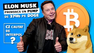 ELON MUSK PROVOACA UN PUMP DE 37% PE DOGE | CZ cautat de Interpol ?