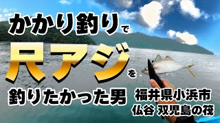 かかり釣りで尺アジを釣りたかった男【福井県小浜市 仏谷の筏】