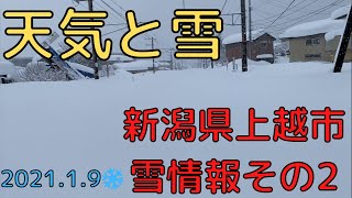 【天気と雪】雪情報その２（新潟県上越市） 2021.1.9