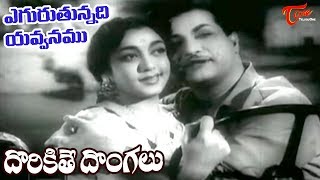 Dorikithe Dongalu Movie Songs | Egurutunnadi Song | NTR | Old Songs - Old Telugu Songs