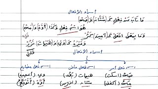 شرح ألفية ابن مالك - 212 - أسماء الأفعال وأسماء الأصوات