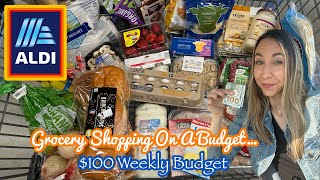 GROCERY SHOPPING ON A BUDGET AT ALDI + MEAL IDEAS
