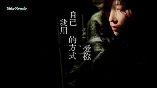 我用自己的方式愛你-洋瀾一-主唱 KARAOKE