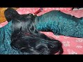 Beautiful Woman Thick Long Hair Bun Opening For Slipped Time | Silky Long Hair Bun Open For Husband