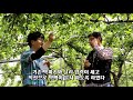 배 유기재배 기술 feat.김상권 농가