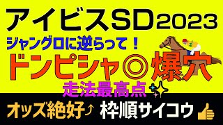 アイビスSD2023ドンピシャ爆穴「バレようがない…走法適性が千直で爆発する！？」