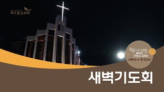 2025-02-27 (목)ㅣ대구동신교회 새벽기도회ㅣ누가복음 7:18-35ㅣ김태수 목사