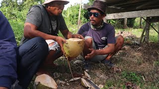 #Mancing Ikan Mahal Sambil Menikmati Kelapa Muda