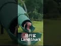 the giant shark is coming best 冒险 king 陆行鲨 shorts