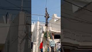 Bijli board me LINEMAN kya kaam krte hai #shorts #pspcl #lineman#ashortaday