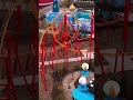 Amazing rides in the park/游乐园有哪些好玩的/遊樂園有哪些好玩的