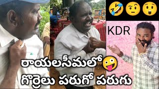 రాయలసీమలో || గొ* ర్రెలు పరుగో పరుగు 😲 పండగ రోజు ఈ క్రైస్తవులకు పని ఏంటి?? #krishnadharmrakshana