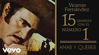 Vicente Fernández - Amar y Querer (Tema Remasterizado) [Cover Audio]