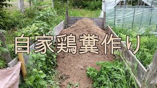 自家鶏糞作り 2022  鶏を飼うと鶏糞もつくれますよ‼️ Chicken manure fertilizer