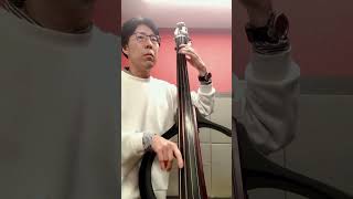 Someday My Prince Will Come - Jazz Standard Walking Bassline Short