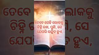 କିନ୍ତୁ ହେ ଭାଇମାନେ  ✝️ ସତ୍କର୍ମ କରିବାରେ  ତୁମ୍ଭେମାନେ କ୍ଳାନ୍ତ✝️ JisuBibleBakya ✝️