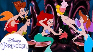 Conheça as irmãs de Ariel! | Disney Princesa