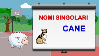 Nomi singolari e plurali