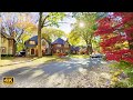 Beautiful AUTUMN Colors in Quiet Neighborhood of Old Toronto Homes