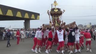 H28 千倉祭礼　寺庭　八幡神社の神輿