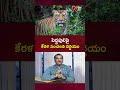 ఆ పులిని చం**పేయండి. kerala govt declares wayanad tiger a man eater ntv